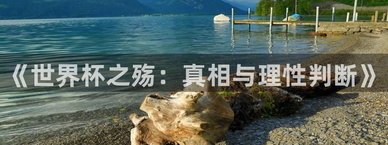 世界杯欧洲区预选赛：《世界杯之殇：真相与理性判断》