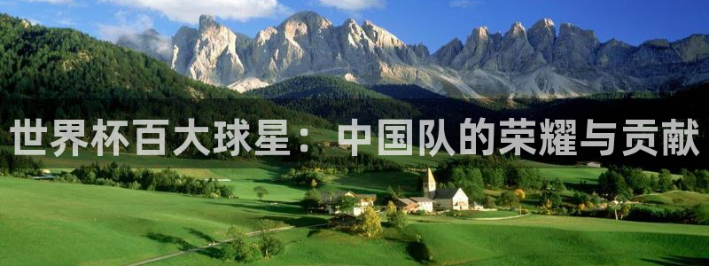 世界杯预选赛排名：世界杯百大球星：中国队的荣耀与贡献