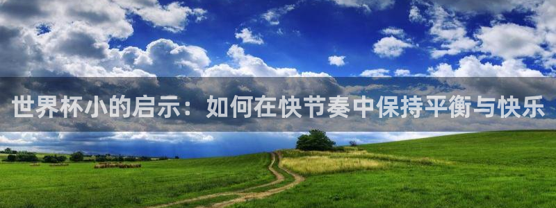 足球世界杯预选赛：世界杯小的启示：如何在快节奏中保持平衡与快乐