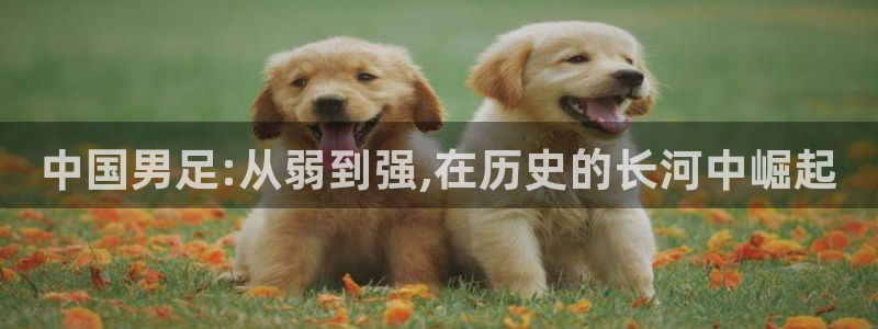 2026足球世界杯赛程：中国男足:从弱到强,在历史的长河中崛起