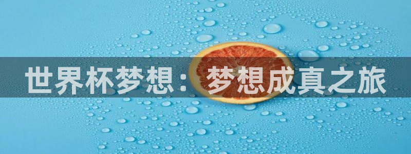 世界杯48支球队赛制：世界杯梦想：梦想成真之旅