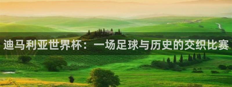 国际足联世界杯：迪马利亚世界杯：一场足球与历史的交织比赛