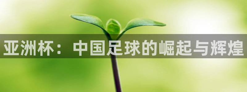联赛杯直播：亚洲杯：中国足球的崛起与辉煌