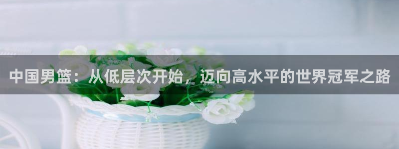 足球世界杯预选赛：中国男篮：从低层次开始，迈向高水平的世界冠军之路