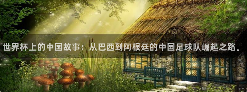 中国 世界杯：世界杯上的中国故事：从巴西到阿根廷的中国足球队崛起之路。