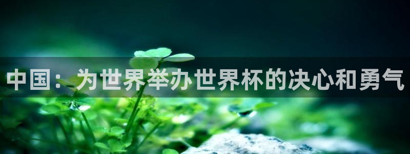 世界杯预选赛亚洲：中国：为世界举办世界杯的决心和勇气