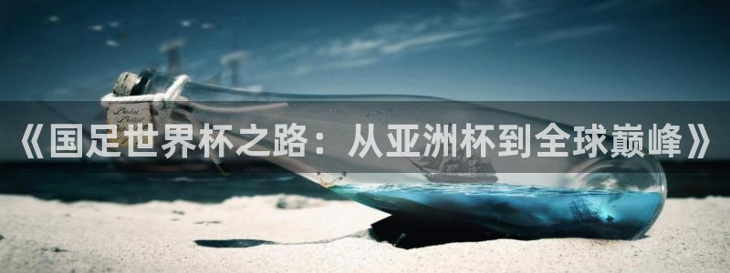 足球世界杯预选赛：《国足世界杯之路：从亚洲杯到全球巅峰》